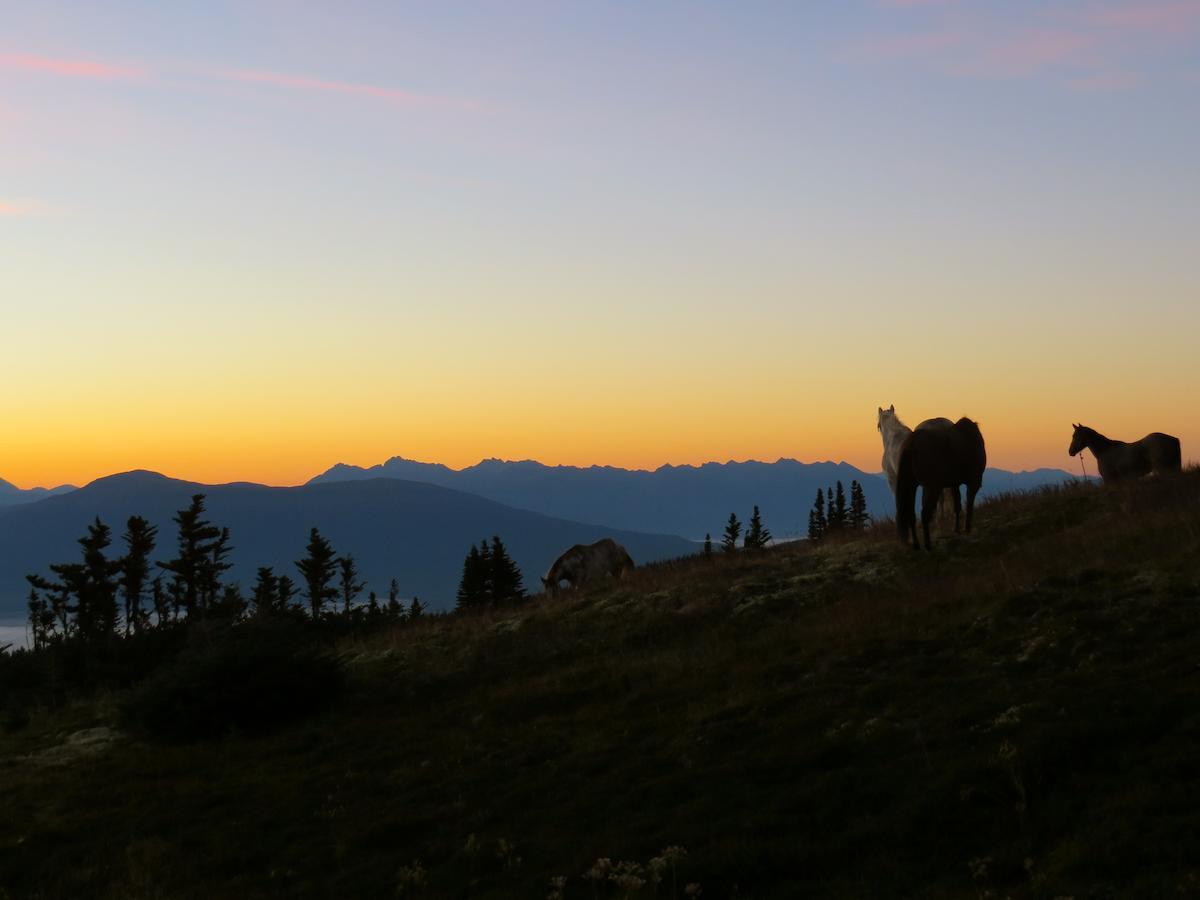 Bear Claw Lodge Kispiox Zewnętrze zdjęcie