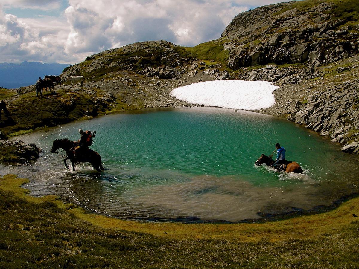 Bear Claw Lodge Kispiox Zewnętrze zdjęcie