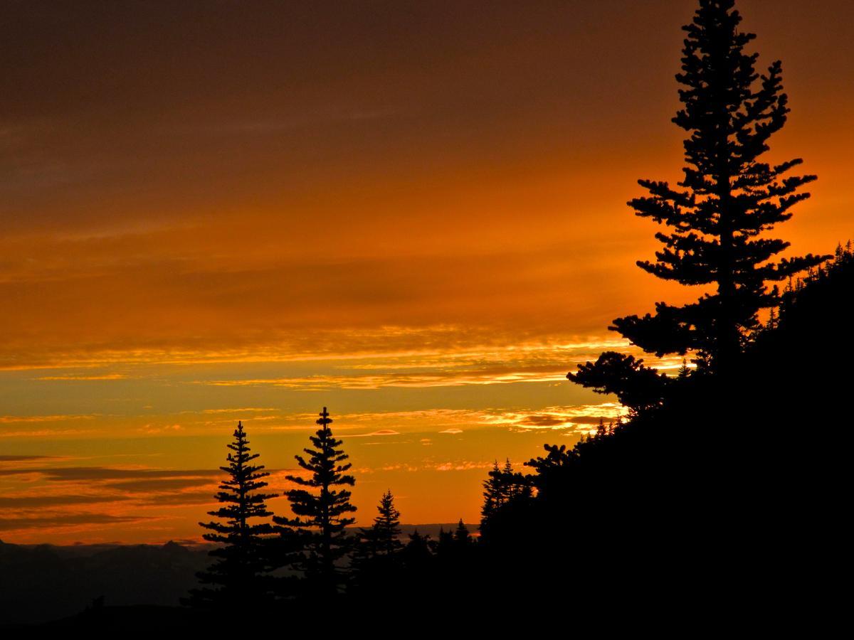Bear Claw Lodge Kispiox Zewnętrze zdjęcie