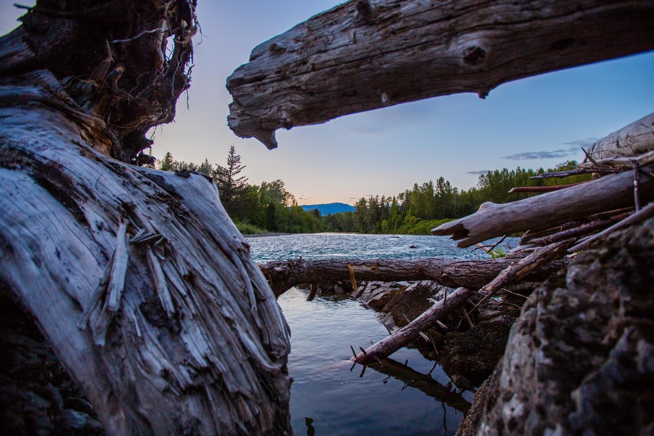 Bear Claw Lodge Kispiox Zewnętrze zdjęcie