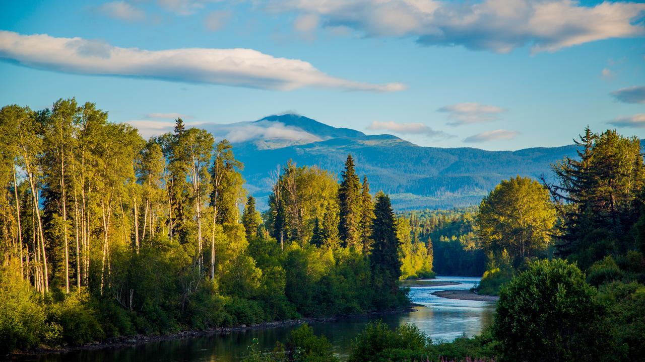 Bear Claw Lodge Kispiox Zewnętrze zdjęcie