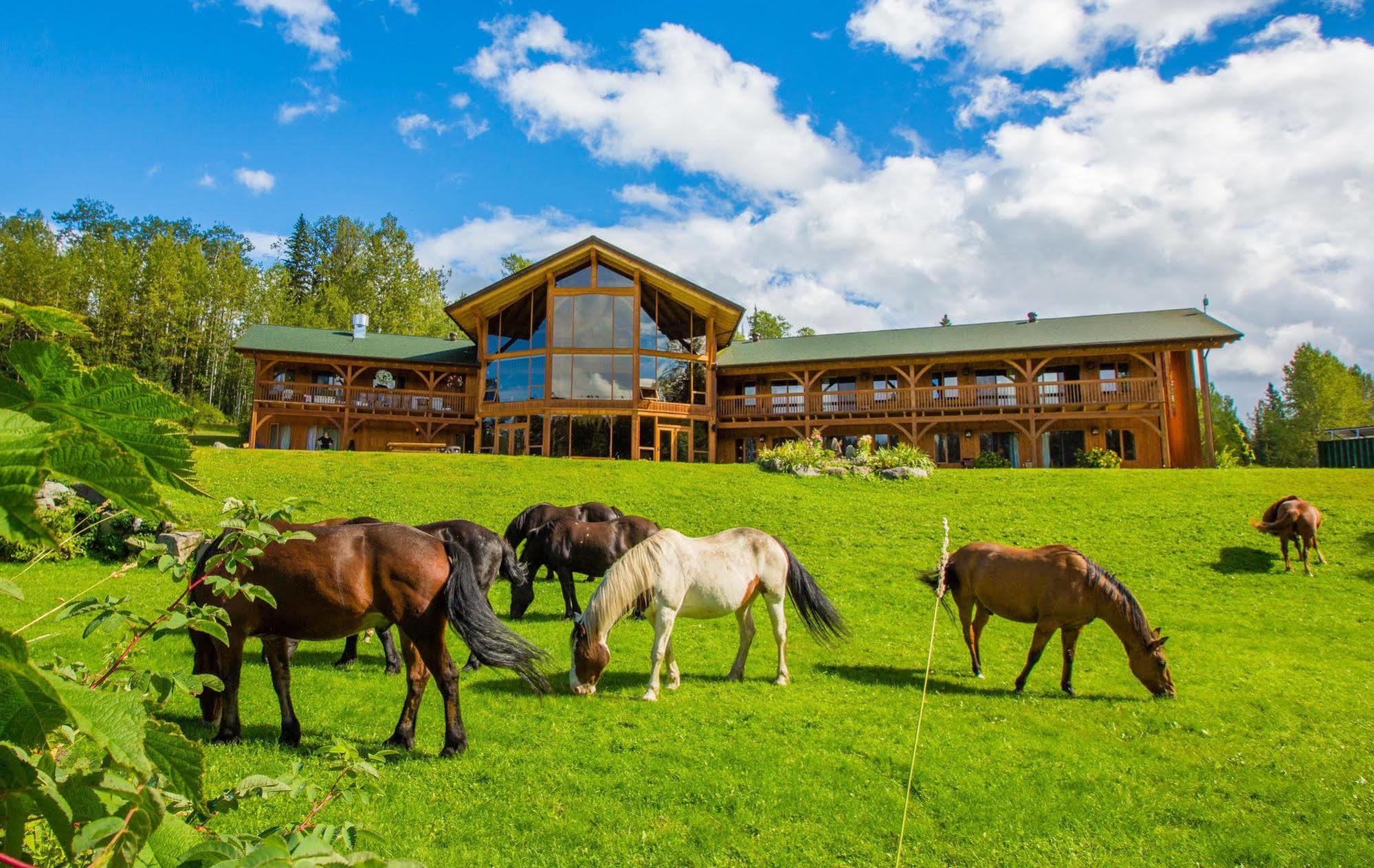 Bear Claw Lodge Kispiox Zewnętrze zdjęcie